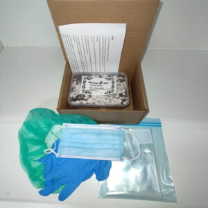 Kits cultivo psilocybes cubensis