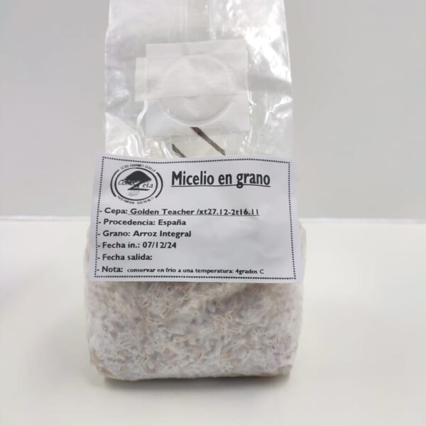 Micelio en grano, elije tu cepa PC