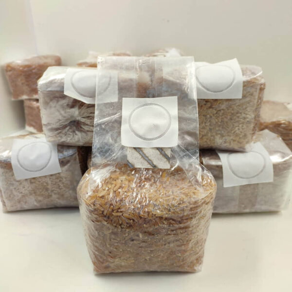 Arroz Integral estéril