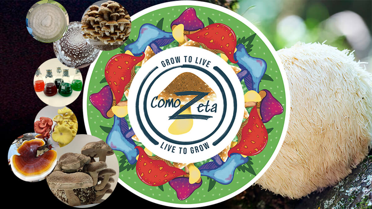 Comozeta - Cultivo de setas